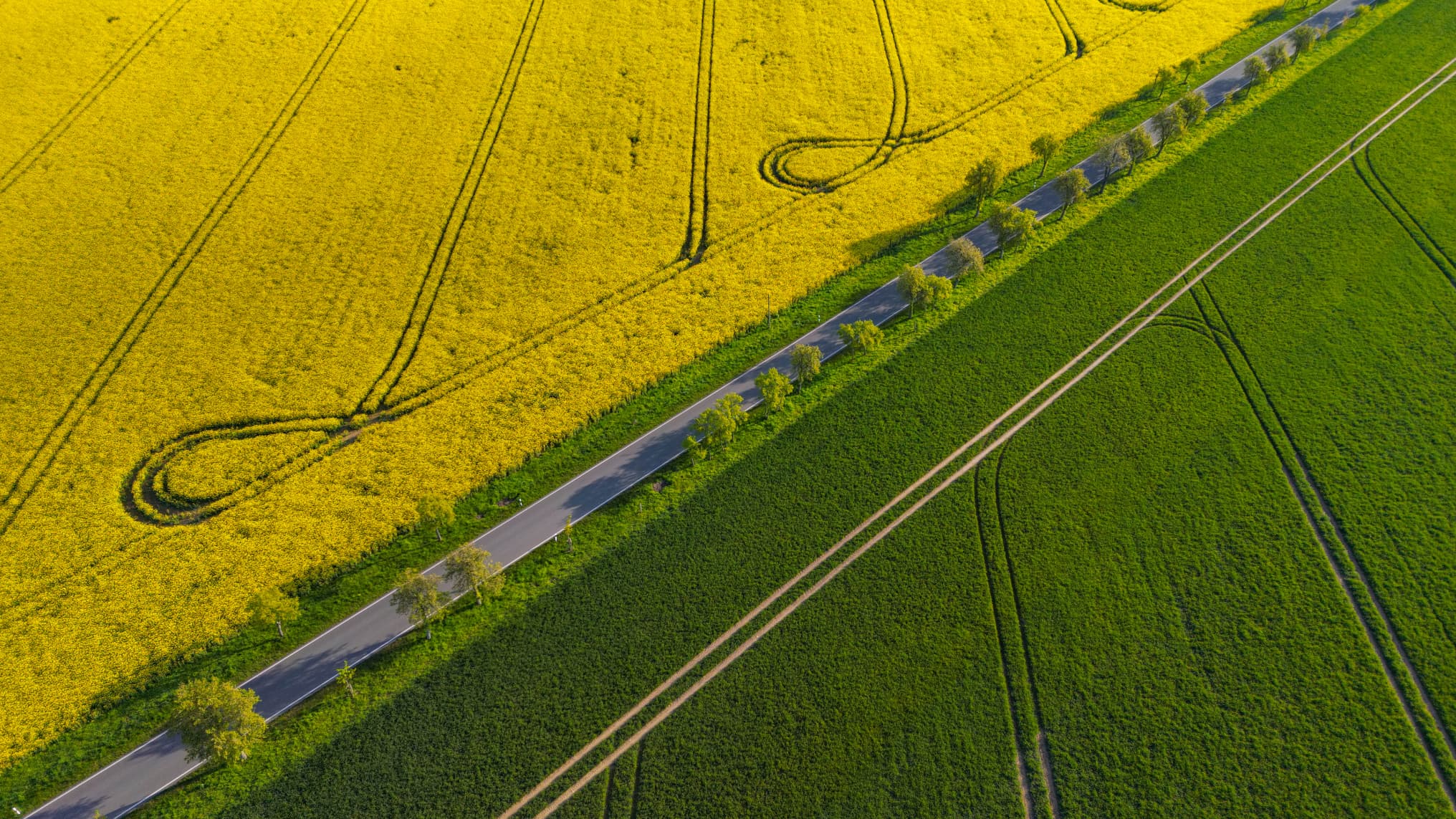 Biobrandstoffen: de groene illusie van B100 en E85